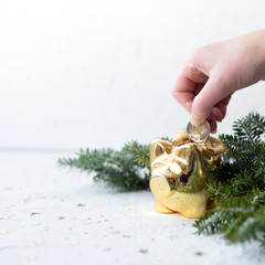 Woman put coin in piggy bank.Golden pig with money, fir branches on light gray background.Symbol of...