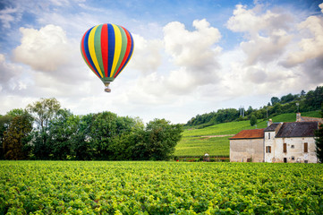 Fototapeta na wymiar Burgundy. Hot air balloon over the vineyards of the burgundy. France