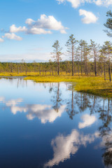 Viru raba is famous Estonian swampland and nature park with wooden trails and watching tower. Bright colors of autumn.