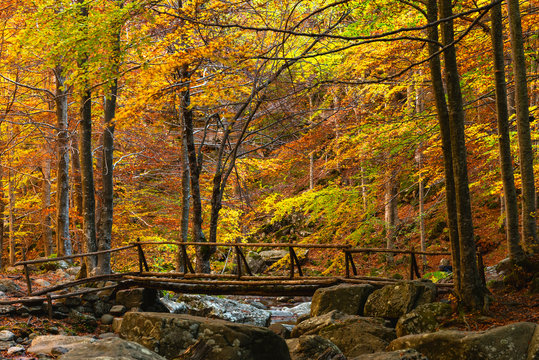 Autumn at the Dardagna waterfalls, Tosco Emiliano Apennines, Apuan Alps, Lizzano in Belvedere, Emilia Romagna