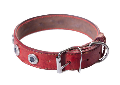 Leather Red Dog Collar