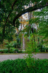 Beautiful Terra Nostra Botanical Park with Thomas Hickling Yankee Hall Summer House, Azores
