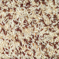 The texture of the mixture of different varieties of rice in a square frame.