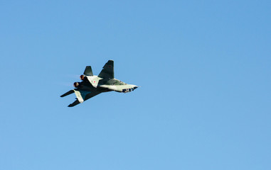 aerobatic team Swifts