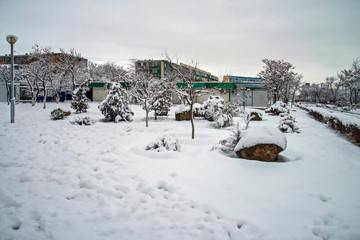 Зима в городе Январь 2019