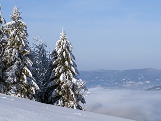 winter in the countryside