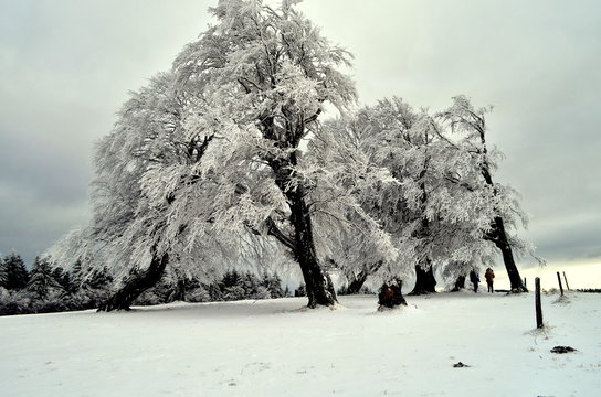 Schauinsland Im Winter