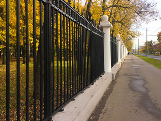 City decorative metal fence in a public autumn park. Alley with yellow foliage on trees along the autumn city park. Abstract autumn urban backgrounds.