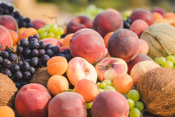 Plateau de fruis frais