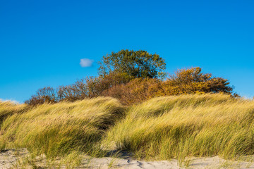 Ostseeküste bei Klintholm Havn in Dänemark
