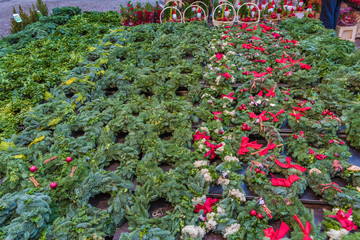 Obraz premium Adventkränze