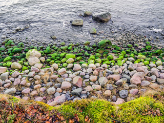Stones with seaweed on the beach