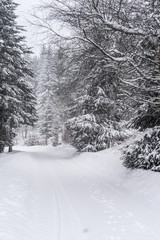 Winterpanorama. Winterstraße. Winterurlaub. Winterparadies. Österreich. Italy. Deutschland. Russland.