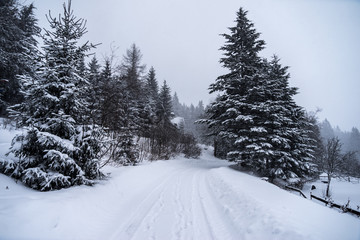 Obraz premium Winterpanorama. Winterstraße. Winterurlaub. Winterparadies. Österreich. Italy. Deutschland. Russland.