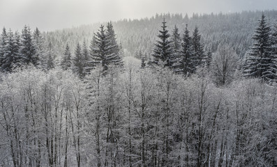 Winterpanorama. Winterstraße. Winterurlaub. Winterparadies. Österreich. Italy. Deutschland. Russland.