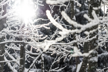 Winterpanorama. Winterstraße. Winterurlaub. Winterparadies. Österreich. Italy. Deutschland. Russland.