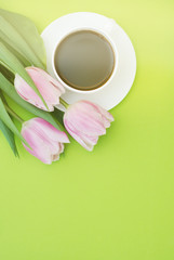 Fototapeta na wymiar Colorful pink, fucsia Valentines background. Pink tulip flower on the green background. Spring time, copy space for text.