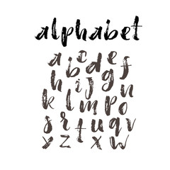 Collection of hand drawn alphabet letters. Vector modern calligraphy.