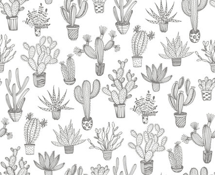 Seamless pattern with hand drawn cactus in a pots. Vector elements.