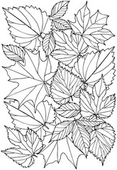 Vector black and white colorin page for colouring book. Leafs in monocrome colors. Doodles pattern