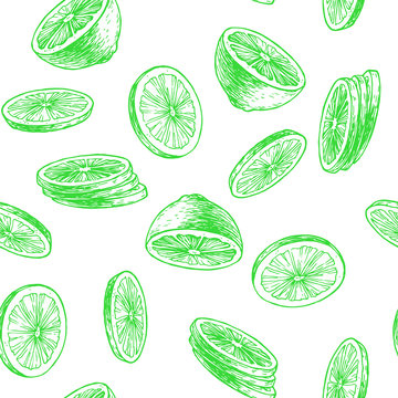 Vector vintage seamless pattern with lime isolated on white. Hand drawn texture with green slices of citrus. Fruit rounds sketch.