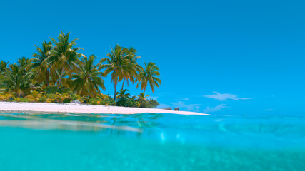 Fototapeta na wymiar HALF UNDERWATER: Spectacular view of pristine exotic beach in turquoise Pacific.