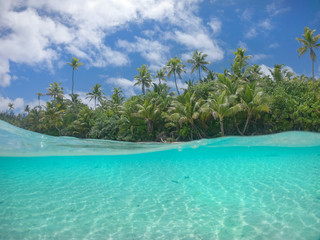 HALF UNDERWATER: Stunning shot of serene paradise island shoreline on sunny day.