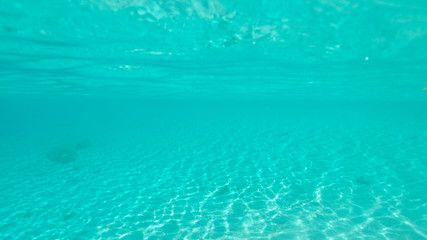 Fototapeta na wymiar UNDERWATER: Stunning shot of tranquil ocean water and the endless ocean floor.