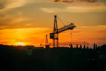 Urban industrial construction of steel tower cranes on sunset with sky