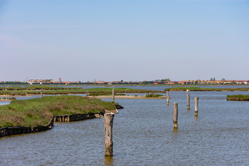 along the park of the delta of the po