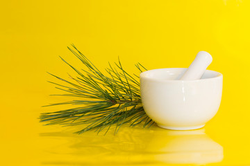 Natural medicine concept. Pine branch beside mortar and pestle on yellow background 