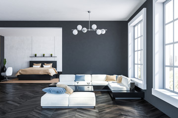 Gray living room and bedroom interior