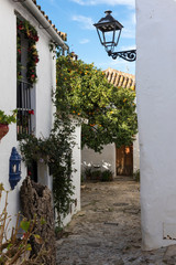 Castellar de la Frontera, municipio español situado en la provincia de Cádiz.   © Manueltrinidad