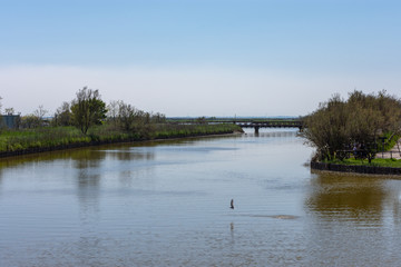 along the park of the delta of the po