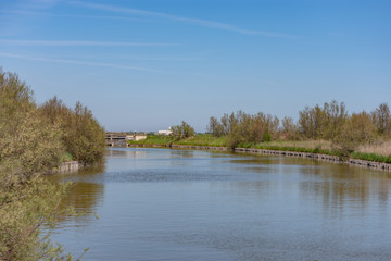 along the park of the delta of the po