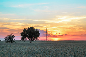 Search Photos Pink Sunset
