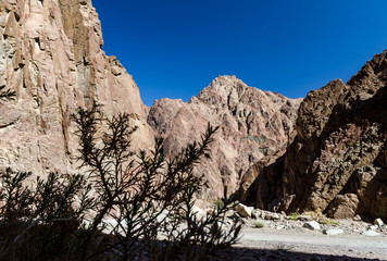 Silhouette of thorny grass on the background of desert brown rocky mountains and blue sky