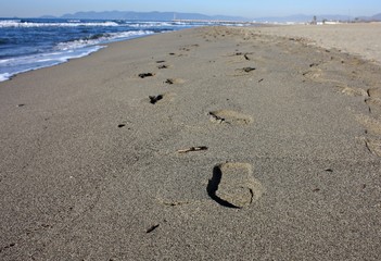 Fototapeta na wymiar human footprints on the sand. walk on the shoreline of the sea