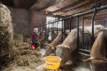 Des enfants donnent &agrave; manger &agrave; des vaches dans une vieille ferme