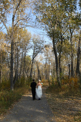 Fototapeta premium young married couple in autumn park