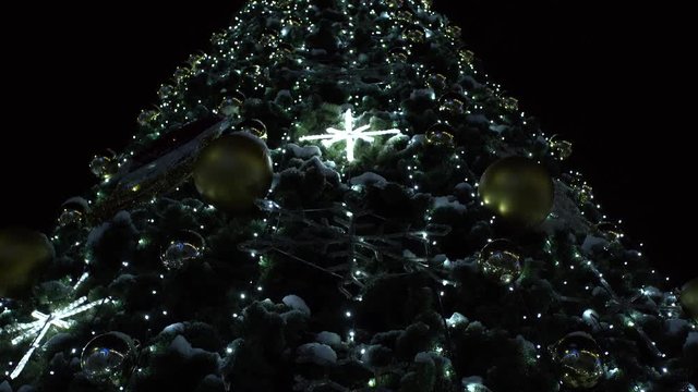 Closeup wide angle footage of holiday illuminated Christmas tree outdoors isolated at black night sky background. Real time 4k video.