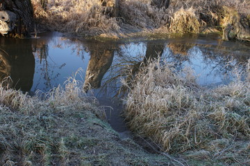 Beaver Traces