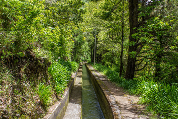 Levada Wanderweg auf Madeira