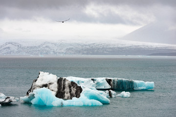 Jökulsárlón ice lake in Iceland © Micha