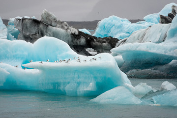 Jökulsárlón ice lake in Iceland © Micha