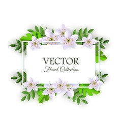 Vector illustration of floral composition with tender light flowers and green leaves around rectangle card with copy space - isolated natural element with blossoms for romantic design.