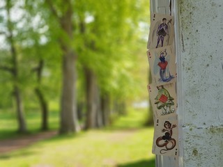 Playing Cards About Destiny