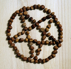 Pentagram of a hazelnuts