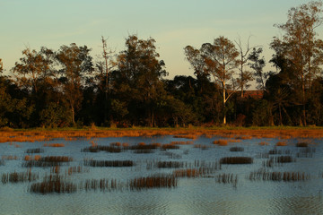 autumn landscape with lake and trees