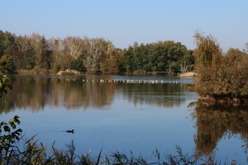 Fototapeta na wymiar Vrbenský pond near české Budéjovice, South Bohemia, Czech republic